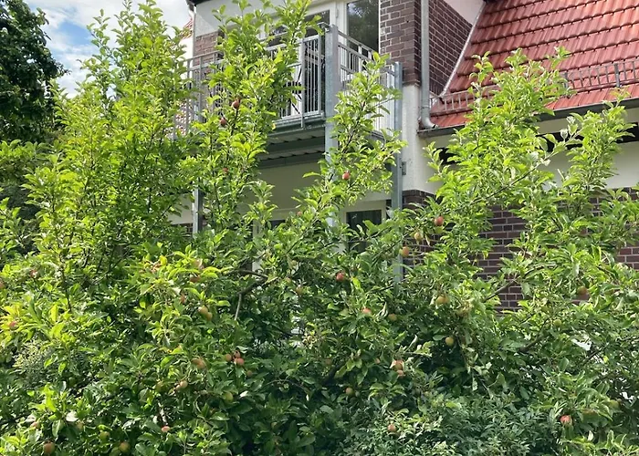 Forsthaus 3 2 Pers Charme & Ausblick ثال